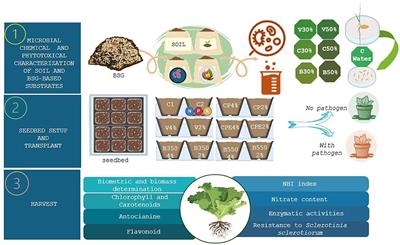 The potential use of brewers' spent grain-based substrates as horticultural bio-fertilizers